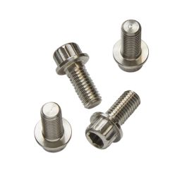 Titanium Screws for Conventional Sliding Dropouts: Choose Style